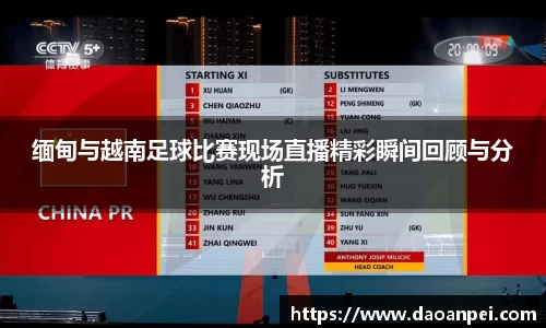 缅甸与越南足球比赛现场直播精彩瞬间回顾与分析