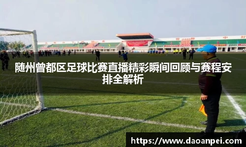 随州曾都区足球比赛直播精彩瞬间回顾与赛程安排全解析