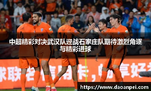 中超精彩对决武汉队迎战石家庄队期待激烈角逐与精彩进球